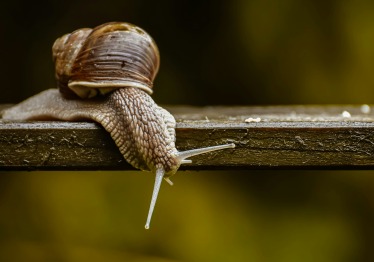 alexas_fotos-nwwum76nugu-unsplash_1786968325-2d8621795e6055692a28fcec8be369b0.jpg