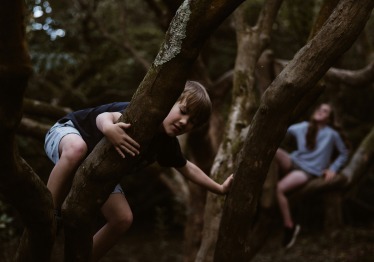 annie-spratt-juiieidu54-unsplash_1786538087-e2036e693fdcd96b9d777a182e73ad6b.jpg
