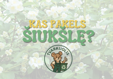atsimerkusios-akys-svari-aplinka_57_01749055366-907f28bc58b4fc9e856f17296fb67659.png