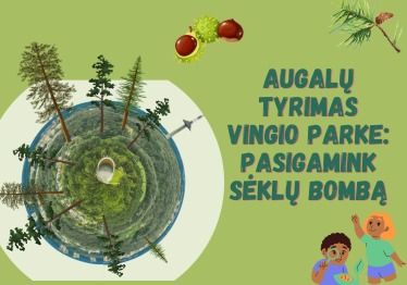 augalu-tyrimas-vingio-parke-pasigamink-seklu-bomba_57_01786790202-17edcf252792cf1939a502771ab40e8b.jpg