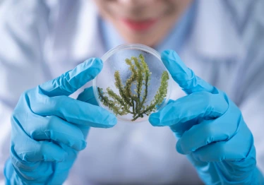 biologija_1672926776-5df056ec104c668cdd572568dbbbafe9.jpg
