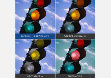 daltonizmas2_1747906777-eb52abd927bb44b924dfd78abd81af49.png