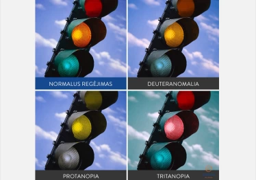 daltonizmas2_1747906777-eb52abd927bb44b924dfd78abd81af49.png