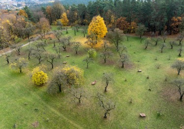 dji_20251030120247_0058_d_1786367878-0a5c0f75be1dfd2b30730fbcd2f54416.jpg