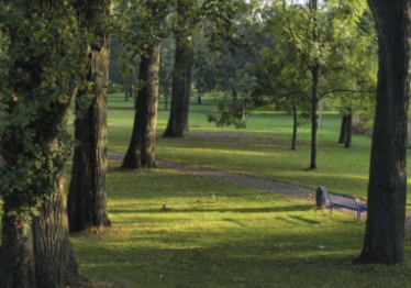 ekosistemos-architektura-sapiegu-parke_57_01749400956-4f854b0ed8aea9a04880e637265f53e0.png