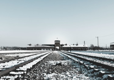 erica-magugliani-k2zgh2xabno-unsplash_1786626190-bb95faae259b8b136fa0edecaae9596d.jpg
