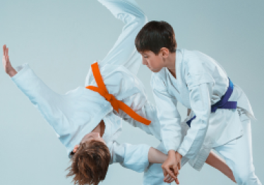 fizinis-ugdymas-su-aikido_57_01757927972-0803dbcde988f37323e951dd9583d971.png