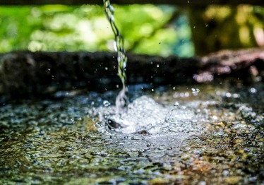 frank-albrecht-xaoqsqfir08-unsplash_1786703083-52f2829107a0935e7dc41262a9b42e0e.jpg