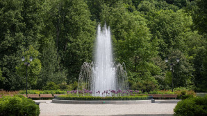 gyvoji-gamta-vilniuje_57_01669903204-6afa38d89f1104903ed7d1feaa69ae5d.jpg