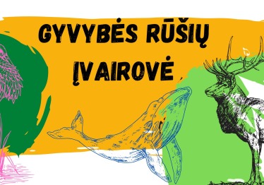 gyvybes-rusiu-ivairove_57_01786789800-bcb9204cc1572f689d7f8c049916da1d.jpg