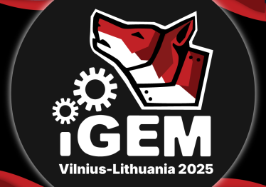 ideju-laboratorija_57_01752588522-02360204edb8210a7b916b08eda6f339.png
