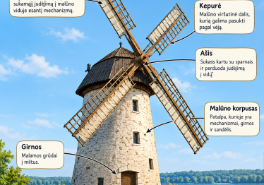 kelione-i-pilaites-maluna-ir-k-borutos-baltaragio-maluna-nuo-realaus-objekto-iki-literaturinio-simbolio_57_01790269171-484fc37d498c9fa7ed47e932bee96fbf.png