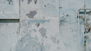 l1-_-pavirsiai-_-annie-spratt-_-unsplash_1729509102-ddc4ea8e851be26f464d8b98df95dd60.jpg
