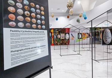 laukiniu-pauksciu-kiausiniu-fotografiju-paroda_57_01774876270-7e20ada20904812f58a0c42228a080ff.jpg