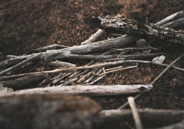 lucas-kepner-m40z6vfhga4-unsplash_1787645118-da6d3ddad2de381c4086575e95429ba9.jpg