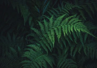 mykyta-martynenko-_1uf_3tlkcq-unsplash_1787660622-2bbc70ff8c0fd4f668a999452e072ce7.jpg