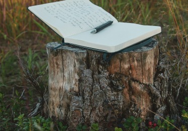 nicolas-messifet-qbjqikesr9c-unsplash_1787049534-9948d06e4cc3ed501345ce3f5249bfb1.jpg