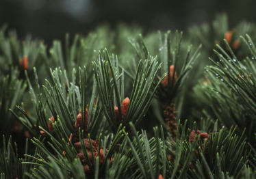 phil-plante-spxot9q5rkq-unsplash_1787146081-14d1c4fad6d95d6bc26b9db77375884d.jpg