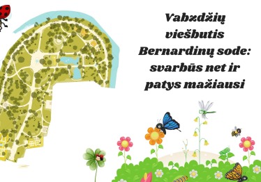 vabzdziu-viesbutis-bernardinu-sode-svarbus-net-ir-patys-maziausi_57_01786790285-35cd430892a5b5498b402416ea26f1e0.jpg