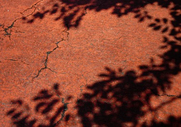 yeonhee-gh_dbbopx1u-unsplash_1787725114-cdee11a53f6744d0ba2e63c195825cfc.jpg